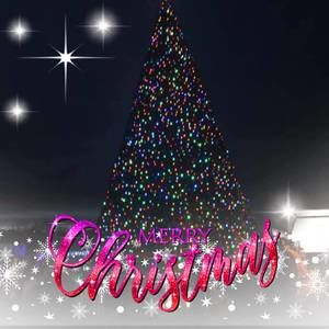 Meet your Posher, Monique